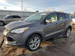 Salvage cars for sale at Littleton, CO auction: 2013 Ford Escape SEL