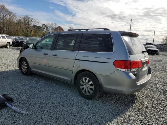 2008 Honda Odyssey EXL