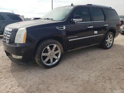 Salvage cars for sale from Copart Andrews, TX: 2009 Cadillac Escalade Luxury