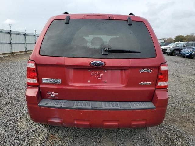 2008 Ford Escape XLT