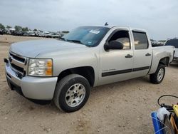 Vehiculos salvage en venta de Copart San Antonio, TX: 2010 Chevrolet Silverado C1500  LS