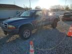 2004 Dodge Dakota SXT