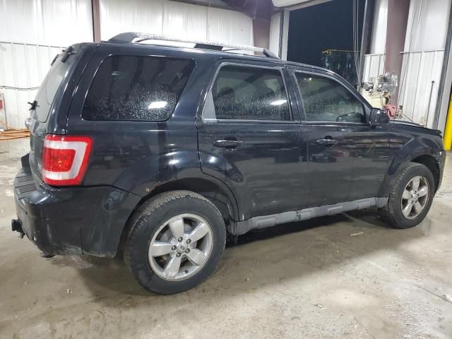 2010 Ford Escape Limited