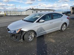 Hyundai Elantra salvage cars for sale: 2019 Hyundai Elantra SEL