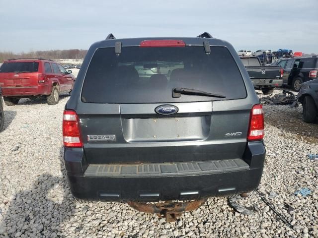 2009 Ford Escape XLT