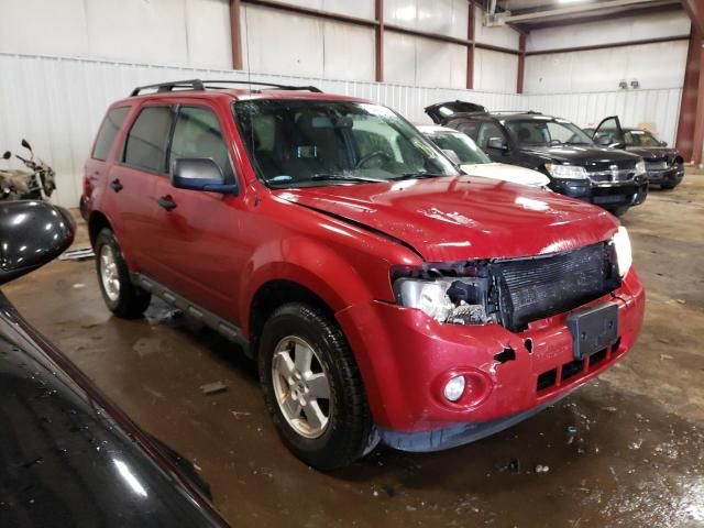 2011 Ford Escape XLT