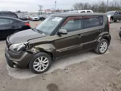 Salvage cars for sale at Lexington, KY auction: 2013 KIA Soul +