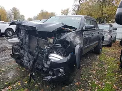 Toyota salvage cars for sale: 2019 Toyota Tacoma Double Cab