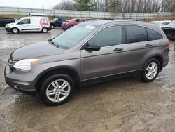 Vehiculos salvage en venta de Copart Davison, MI: 2010 Honda CR-V EX