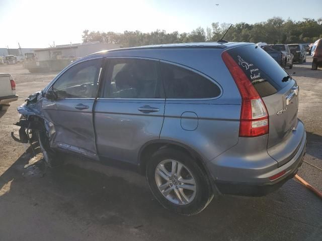 2010 Honda CR-V EXL