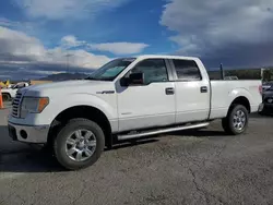 Vehiculos salvage en venta de Copart Las Vegas, NV: 2011 Ford F150 Supercrew