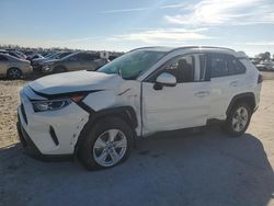 Hybrid Vehicles for sale at auction: 2019 Toyota Rav4 XLE