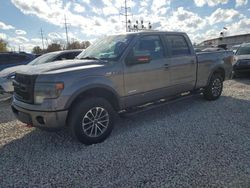 Ford salvage cars for sale: 2013 Ford F150 Supercrew