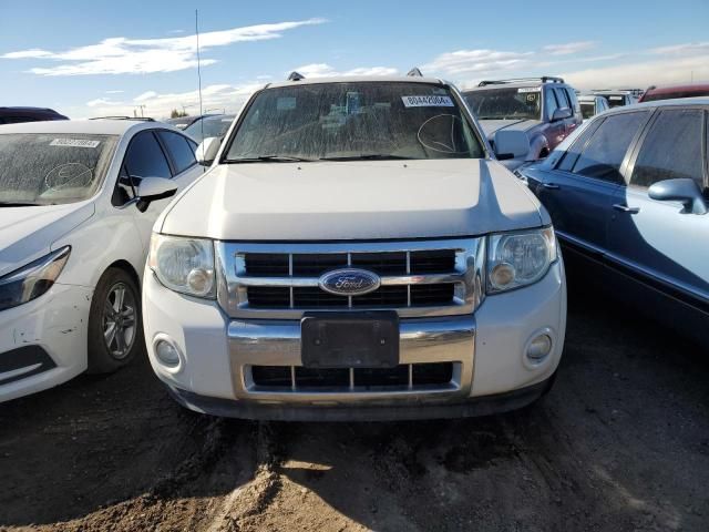 2009 Ford Escape Limited