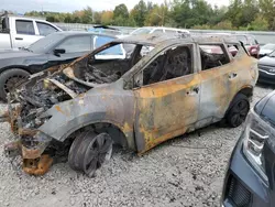 Salvage cars for sale at Memphis, TN auction: 2023 Nissan Murano SV