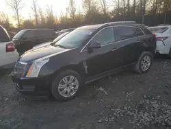 Cadillac Vehiculos salvage en venta: 2012 Cadillac SRX Luxury Collection