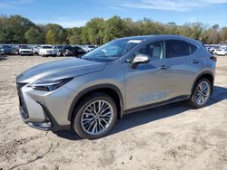 Lexus Vehiculos salvage en venta: 2025 Lexus NX 350 Luxury