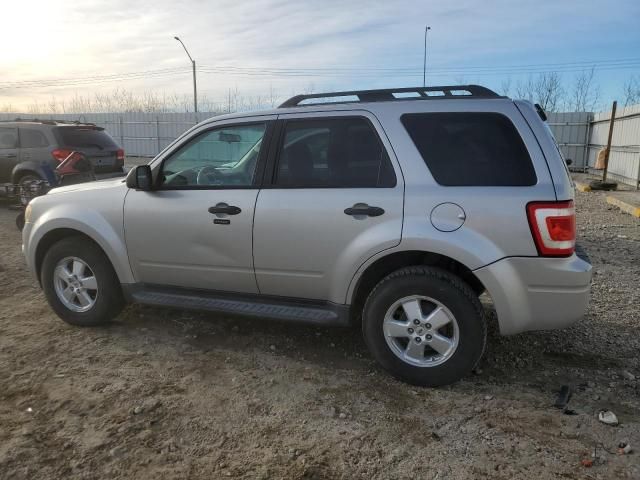 2009 Ford Escape XLT