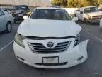 2009 Toyota Camry Hybrid