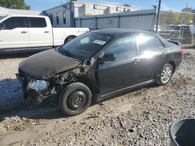 2010 Toyota Corolla Base