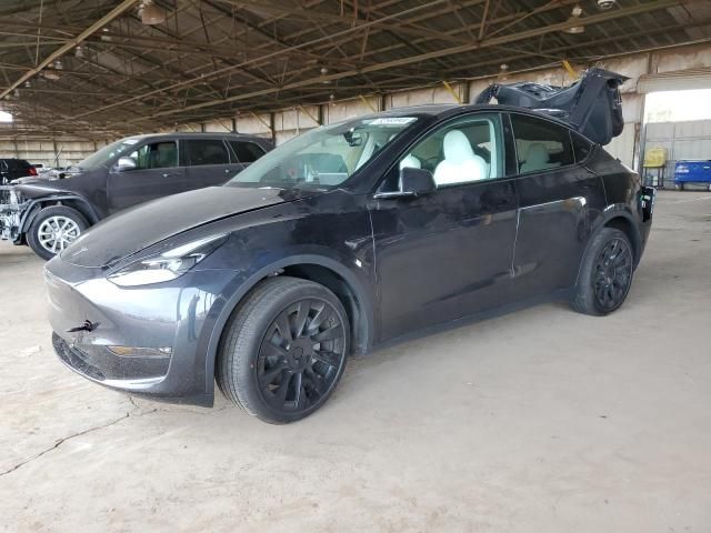 2025 Tesla Model Y