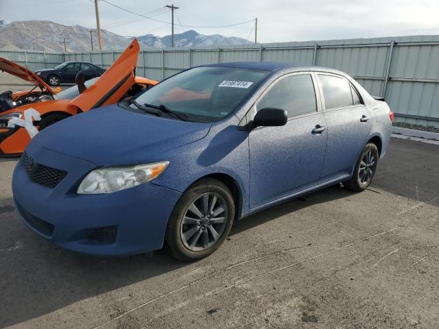 2010 Toyota Corolla Base