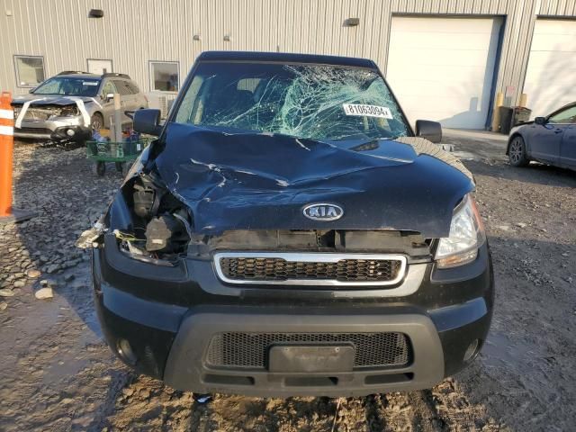 2010 KIA Soul +