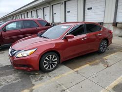 Salvage cars for sale at Louisville, KY auction: 2016 Nissan Altima 2.5