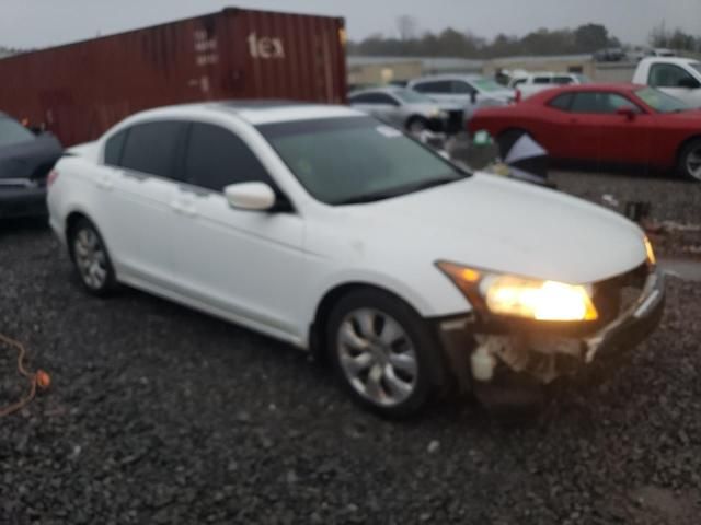 2010 Honda Accord EXL