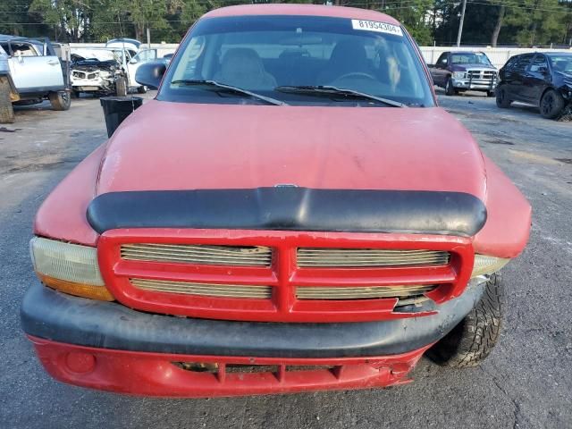 2003 Dodge Dakota SXT