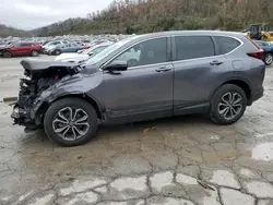 Salvage cars for sale at Hurricane, WV auction: 2020 Honda CR-V EX