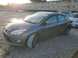 Salvage cars for sale from Copart Opa Locka, FL: 2014 Ford Focus SE