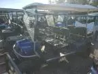 2010 Other 2010 Aspt Golf Cart