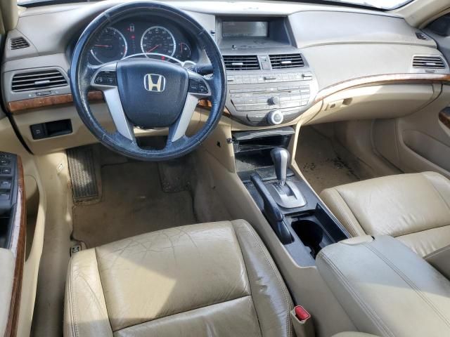 2009 Honda Accord EXL