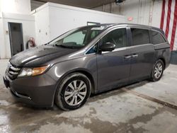 Salvage cars for sale at Northfield, OH auction: 2017 Honda Odyssey EXL