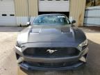 2023 Ford Mustang