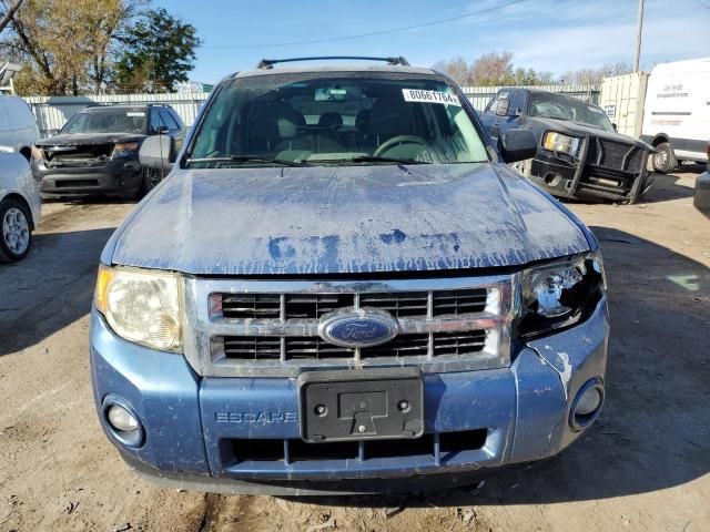 2009 Ford Escape XLT