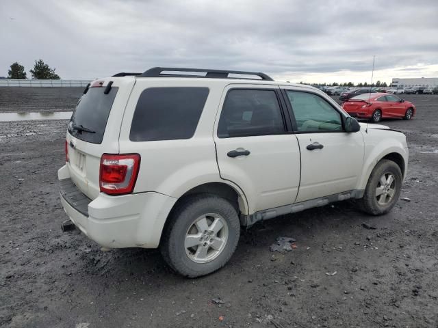 2009 Ford Escape XLT