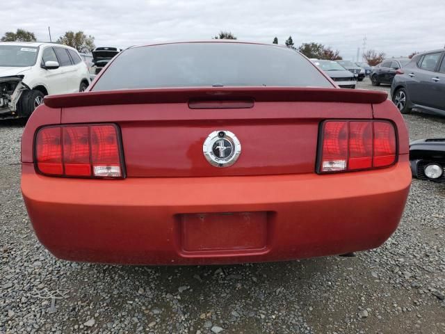 2009 Ford Mustang