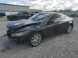 Honda Accord Vehiculos salvage en venta: 2008 Honda Accord EXL