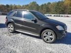 2010 Mercedes-Benz ML 350