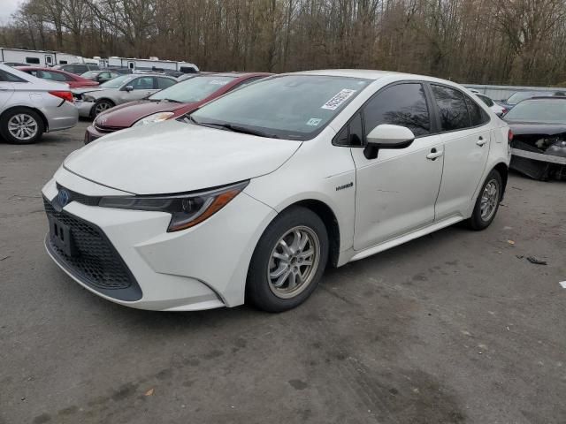 2020 Toyota Corolla LE