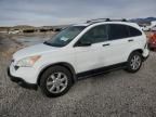 2009 Honda CR-V EX