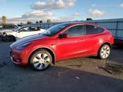 Salvage cars for sale at auction: 2023 Tesla Model Y