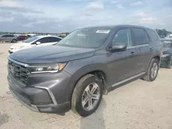 Honda Pilot salvage cars for sale: 2024 Honda Pilot EXL