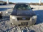 2007 Ford Escape XLT