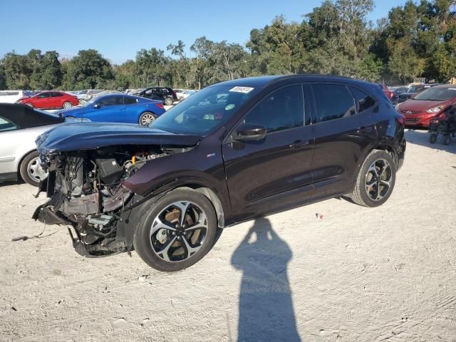 2023 Ford Escape ST Line Elite