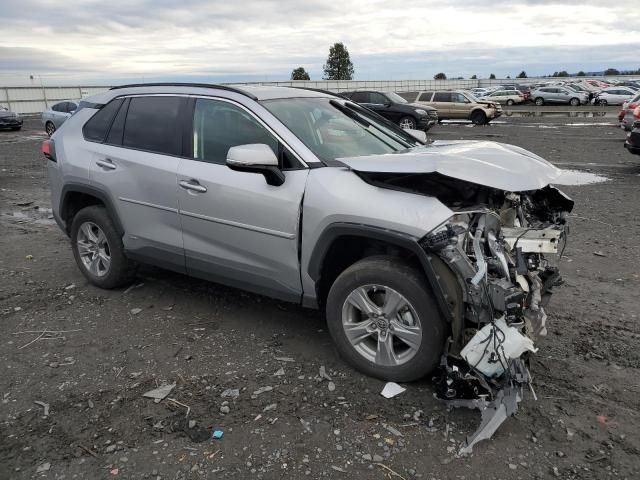 2023 Toyota Rav4 LE