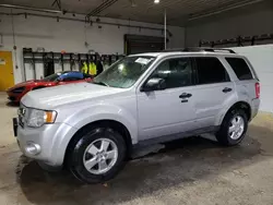 Ford Vehiculos salvage en venta: 2012 Ford Escape XLT