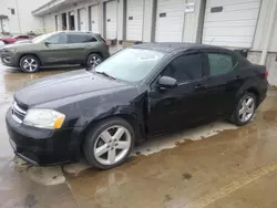 2013 Dodge Avenger SE en venta en Louisville, KY